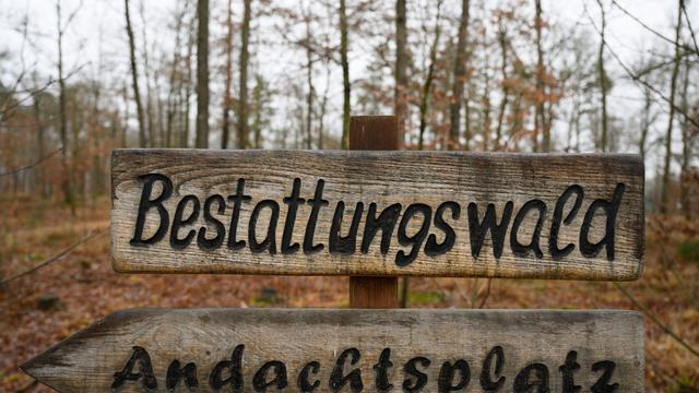 Bestattungen: Asche-Diamant oder Waldgrab? Was in Sachsen erlaubt ist