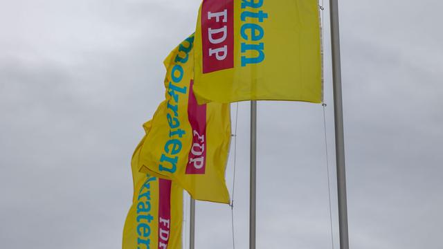 Landtagswahl 2026: Hüskens gegen Silbersack – FDP stellt Landesliste auf