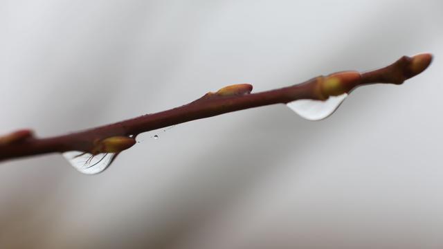 Wetter: Meteorologen rechnen mit Schnee im Oberharz