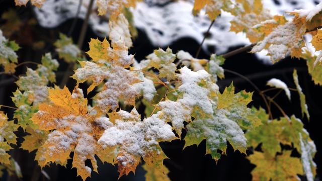 Wetter: Mildes Herbstwochenende, bevor der Winter anklopft