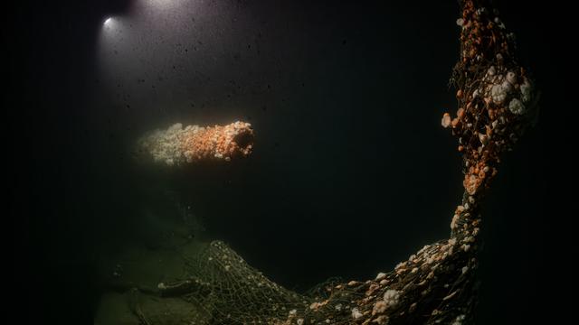Raziskovalci se potopili k razbitini, ki jo je potopila nemška podmornica