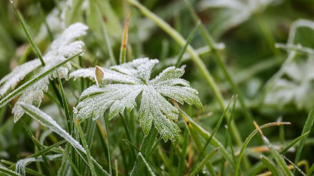 Wetter: Oberhalb von 500 Metern Schnee in Hessen erwartet
