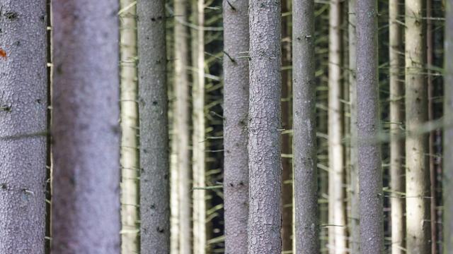 Wetter in Nordrhein-Westfalen: Temperaturen fallen unter zehn Grad - Schnee im Sauerland?