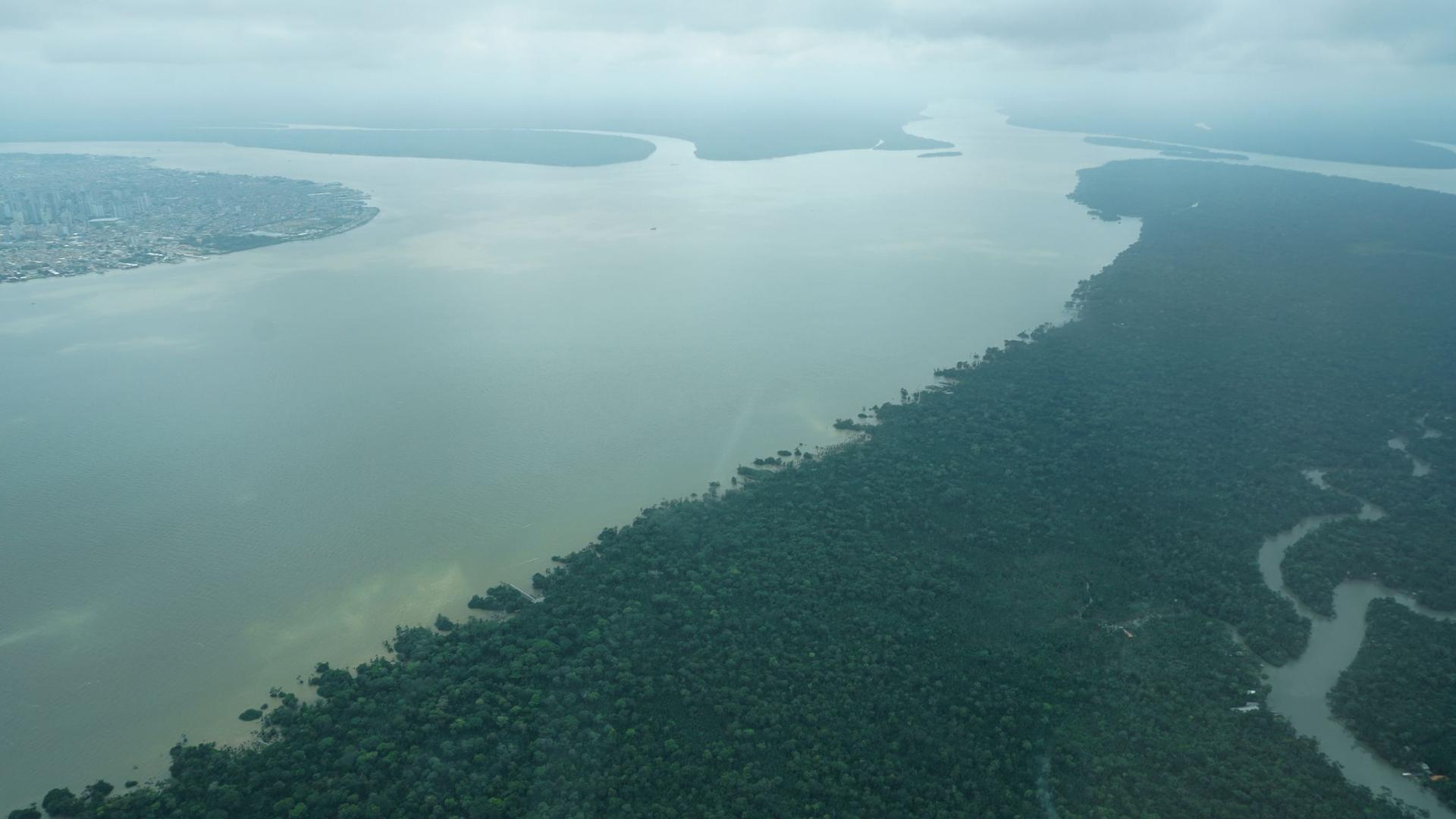 Amazonasgebiet: Amazonas im Stress – "auch in Berlin spürbar"