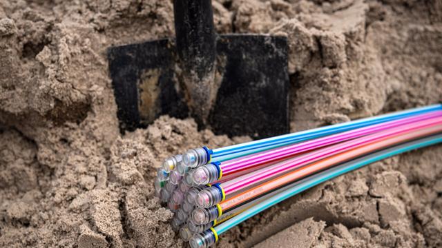 Schnelles Internet: Glasfaserausbau in Sachsen-Anhalt kommt voran