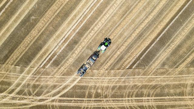 Landwirtschaft: Kritik an Anteilskauf großer Agrarflächen in Ostdeutschland