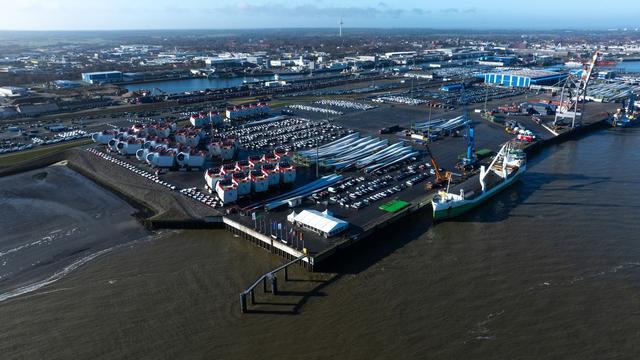 Fund am Freitag: Verendeter Zwergwal aus Hafen in Cuxhaven geborgen