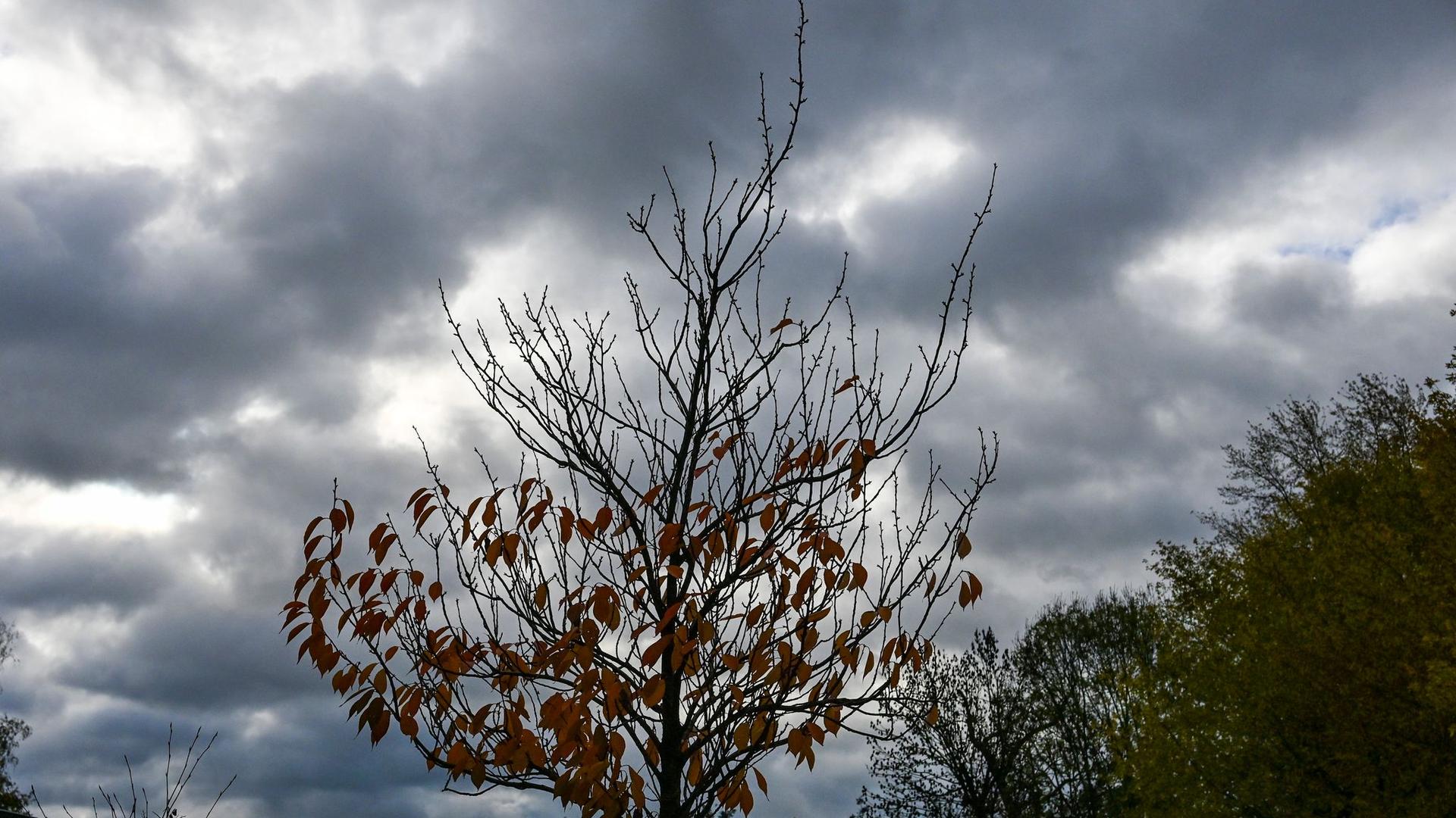 Wetter: Frost und Schneeregen in Berlin und Brandenburg