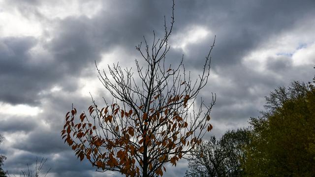 Wetter: Frost und Schneeregen in Berlin und Brandenburg