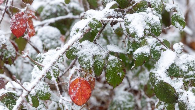Bis zu -12 Grad: Kälte und Schnee - Thüringen vor Winterwochenende