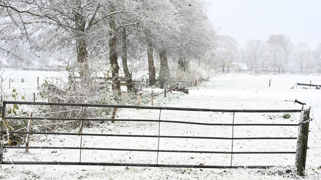 Wetter: Frost und Glätte – Winterliche Aussichten für Deutschland