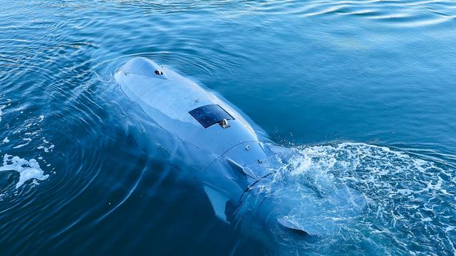 Autonomes Unterwasserfahrzeug: 