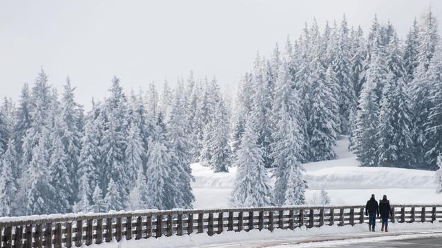 Bei Berchtesgaden: Unfall beim Driften auf schneeglatter Panoramastraße
