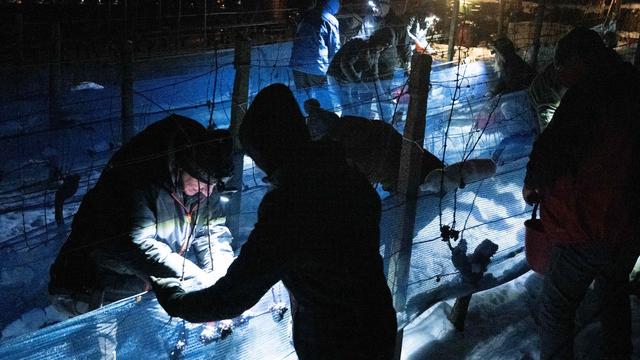Rarität aus dem Weinberg: Winzer im Elbtal lesen Eiswein