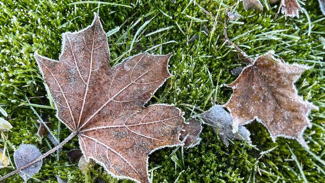 Nachts sehr kalt: Bis minus neun Grad – Glatteis droht am Sonntag