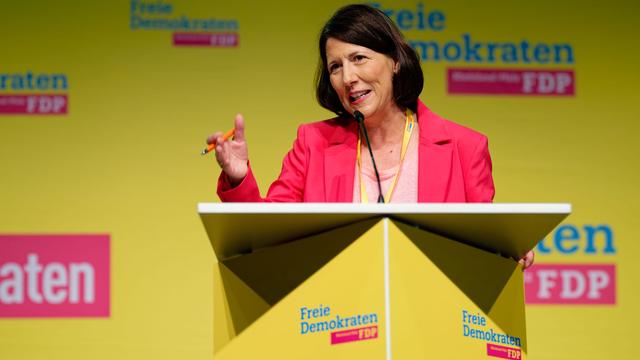 Landtagswahl: FDP Rheinland-Pfalz will "Handwerksgymnasium" schaffen