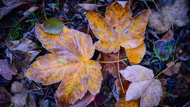 Schneefall möglich: Kälte und Glätte in NRW erwartet