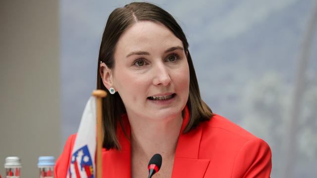 Nach Kritik am Leitantrag: Schenk: "Demokratie ist kein Pizza-Service"