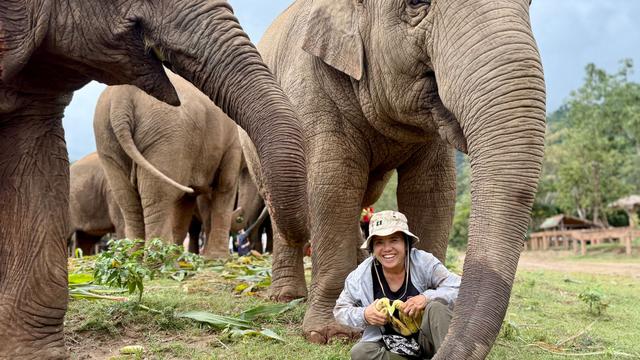 Tajska 'šepetalka slonov' Lek Chailert zdravi travmatizirane slone blizu Chiang Maija