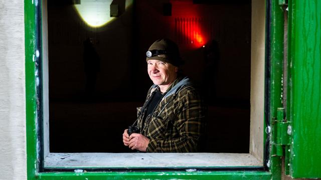 Fledermäuse als Jagdbeute: Experte: Ratten keine Gefahr für Fledermäuse in Bad Segeberg