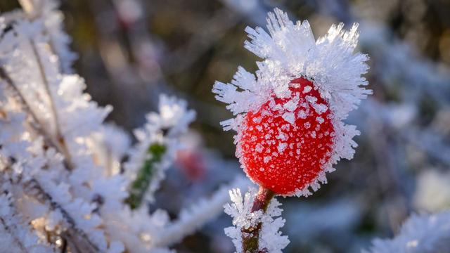 Winterliches Wetter: Schnee und Eis - Glatte Straßen zum Wochenstart