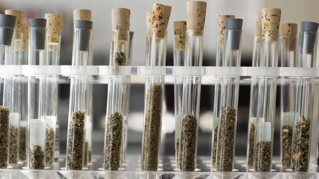 Drogenkriminalität: Kriminalität bei Designerdrogen explodiert