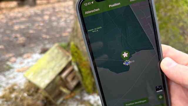 Natur: Per App ein Problem im Wald melden