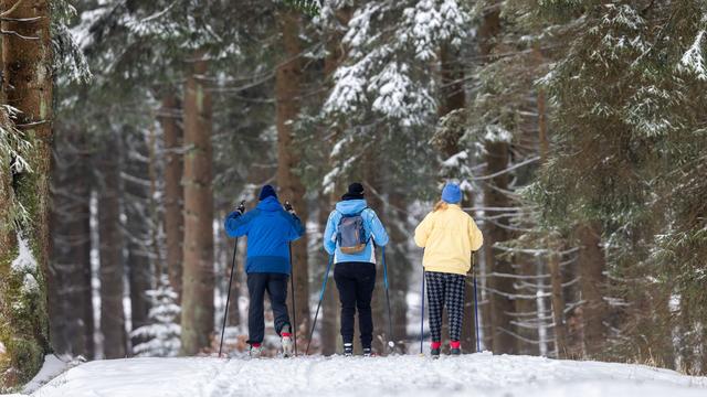 Wintersport: Präparierte Langlaufstrecken und Rodelhänge