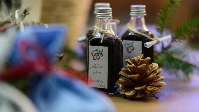 Regionales aus der Natur: Quittentee und Pechsalbe – Kräuterwissen in Lüneburger Heide