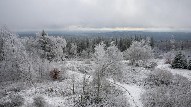 Wettervorhersage: Schnee zum Wochenstart in Rheinland-Pfalz und Saarland