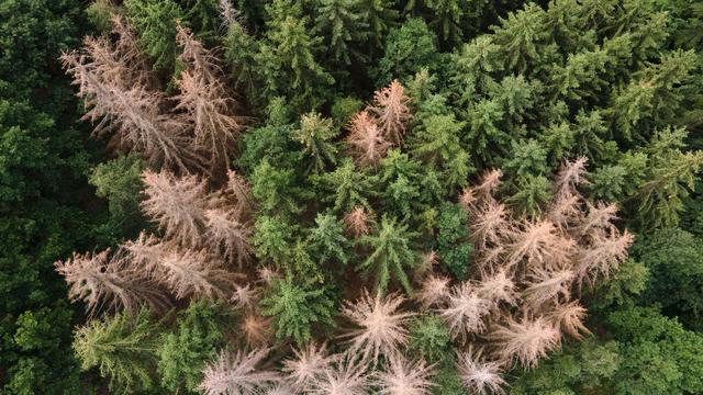 Unfälle: Wanderer stirbt bei Totenehrung in der Sächsischen Schweiz