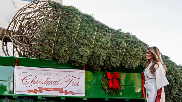 Festtagsstimmung: Weihnachtsbaum und Truthähne im Weißen Haus