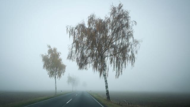 Wetter: Trübe Aussichten mit Nebel, Frost und Regen