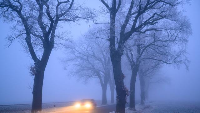 V Berlinu in Brandenburgu oblačno in megleno, zjutraj poledica