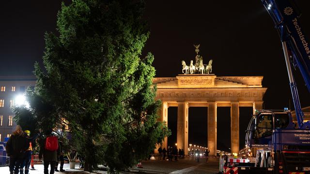 Mit Lieferschwierigkeiten: Weihnachtsbaum am Brandenburger Tor aufgestellt