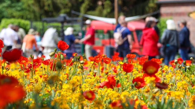 Stadtentwicklung: Brandenburg sucht Gastgeber für die Landesgartenschau 2032