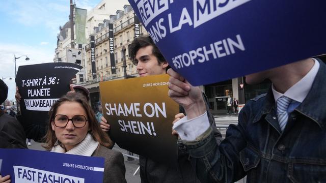 Illegale Produkte: Sexpuppen in Kinderoptik - EU verlangt Auskunft von Shein