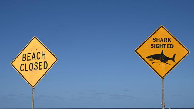 Angriff nördlich von Sydney: Haiattacke in Australien – Frau stirbt, Mann schwer verletzt