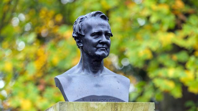 Wissenschaft: Humboldt-Professur für künftige Dresdner Forscherin