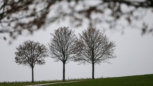 DWD-Prognose: Kalt, trüb und stellenweise nass - Wetter bleibt schmuddelig