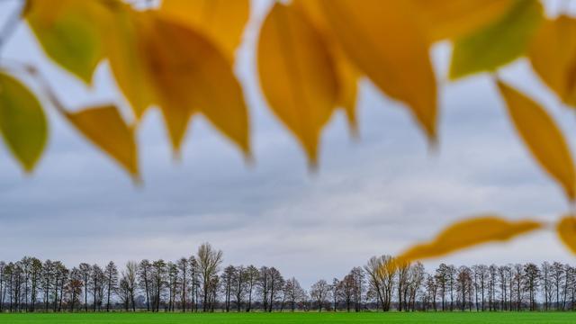 Konec tedna v Berlinu in Brandenburgu se obeta milejše vreme