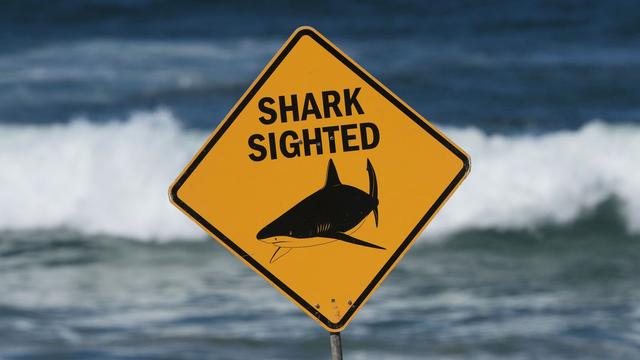 Tödliche Attacke in Australien: Bullenhai greift Schweizer Paar an – filmte GoPro das Drama?