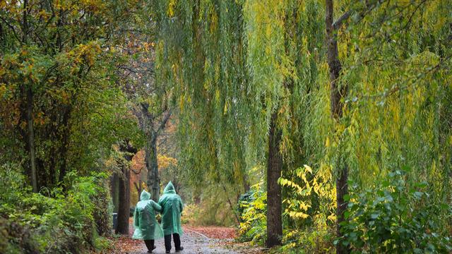 Wetterdienst-Bilanz: Herbst in Hamburg: Mild, nass und überraschend sonnig