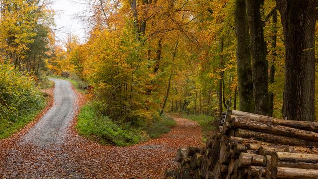 Wetterbilanz: Herbst in Hessen: In keinem Bundesland weniger Sonnenschein