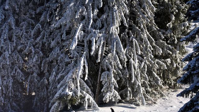 Wetterdienst-Bilanz: Kälteste Herbst-Temperatur bundesweit in Bayern gemessen