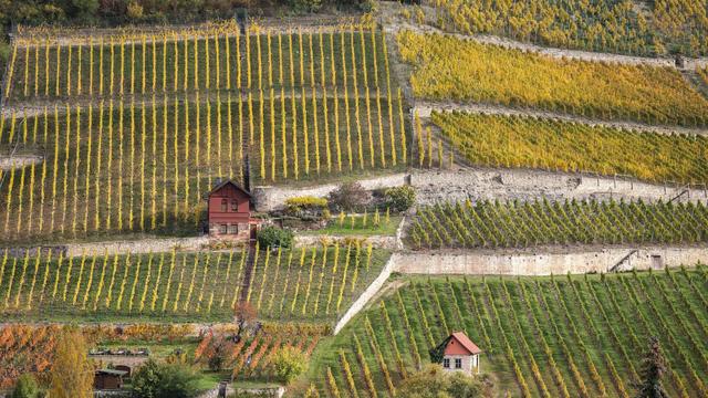 Wetter: Milder Herbst in Sachsen-Anhalt