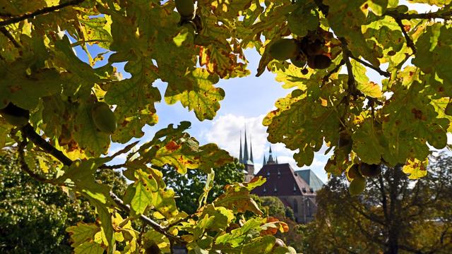 Wetter: Milder Herbst in Thüringen