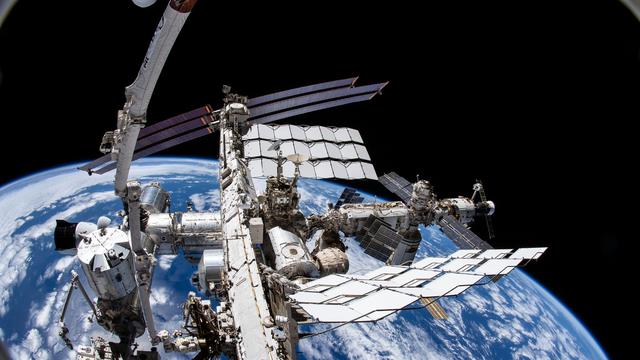 Nach mehrjähriger Pause: Tiere vom All aus im Blick – Projekt "Icarus" startet neu