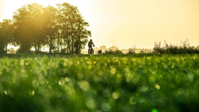 Dritte Jahreszeit: Wetterbilanz: Herbst brachte MV viel Sonne