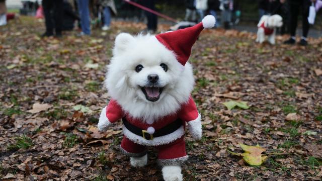 Fotografie: Bilder des Tages